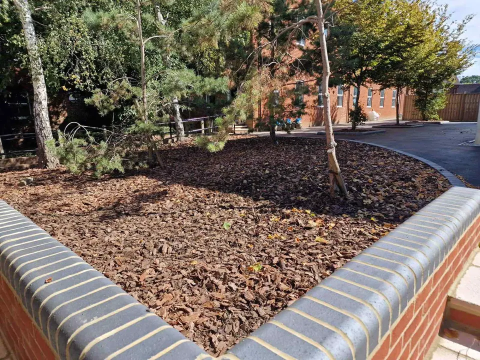 Holcombe Grammar – Thinking Facilities detail 4